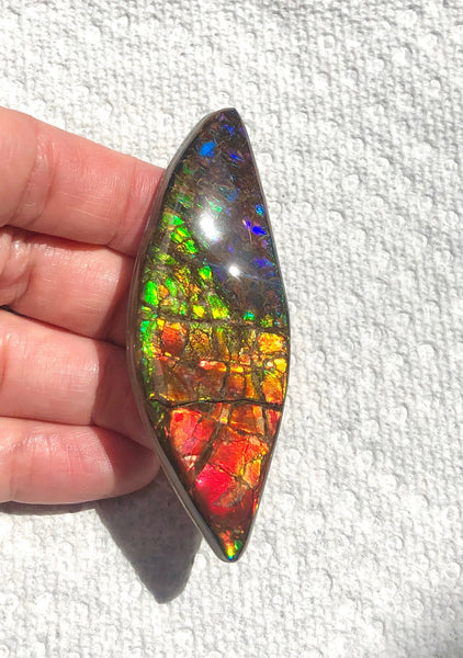 72x24mm Coated Free Form Rainbow Dragonskin - FFC101   - Ammolite アンモライト　ルース　