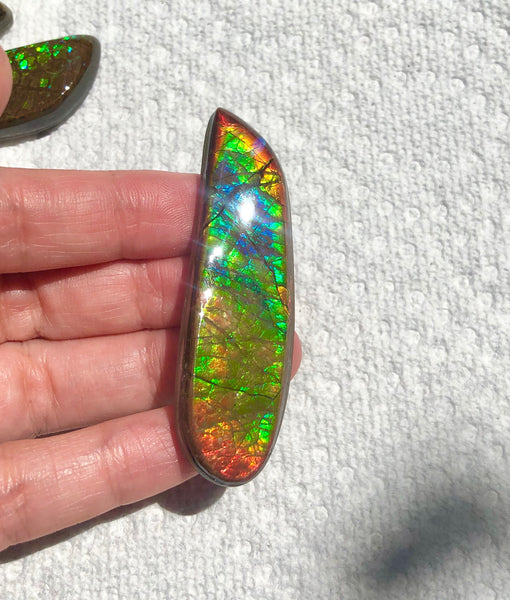 62x17mm Coated Free Form Rainbow Dragonskin - FFC102  - Ammolite アンモライト　ルース　