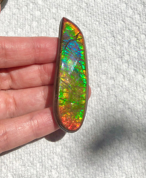 62x17mm Coated Free Form Rainbow Dragonskin - FFC102  - Ammolite アンモライト　ルース　