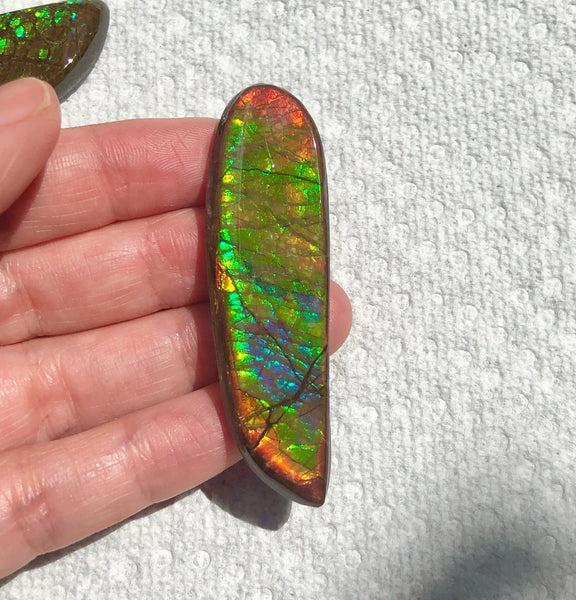 62x17mm Coated Free Form Rainbow Dragonskin - FFC102  - Ammolite アンモライト　ルース　