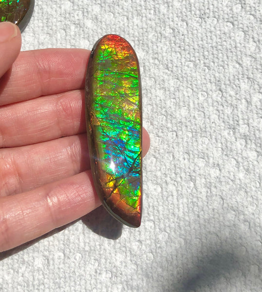 62x17mm Coated Free Form Rainbow Dragonskin - FFC102  - Ammolite アンモライト　ルース　