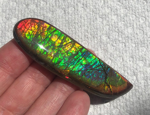 62x17mm Coated Free Form Rainbow Dragonskin - FFC102  - Ammolite アンモライト　ルース　
