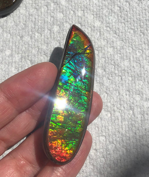 62x17mm Coated Free Form Rainbow Dragonskin - FFC102  - Ammolite アンモライト　ルース　