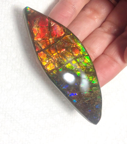 72x24mm Coated Free Form Rainbow Dragonskin - FFC101   - Ammolite アンモライト　ルース　