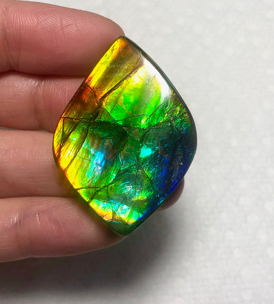 41x 29 mm Rainbow gorgeous colors! Natural  Free Form . FFNT 129  ナチュラル　ルース　アンモライト フリーフォーム