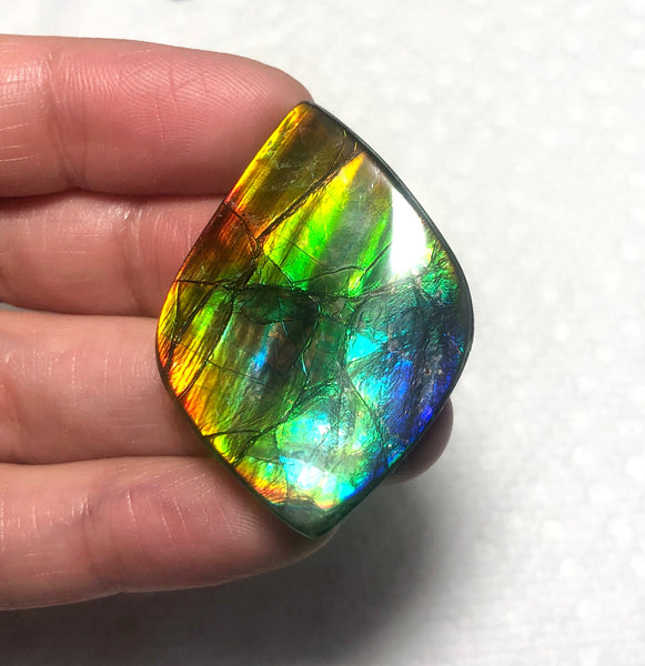 41x 29 mm Rainbow gorgeous colors! Natural  Free Form . FFNT 129  ナチュラル　ルース　アンモライト フリーフォーム