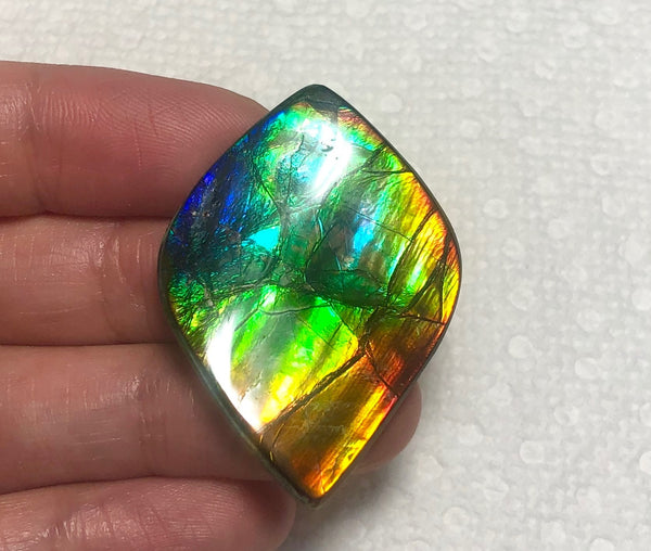 41x 29 mm Rainbow gorgeous colors! Natural  Free Form . FFNT 129  ナチュラル　ルース　アンモライト フリーフォーム