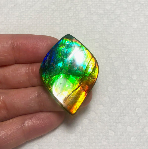 41x 29 mm Rainbow gorgeous colors! Natural  Free Form . FFNT 129  ナチュラル　ルース　アンモライト フリーフォーム