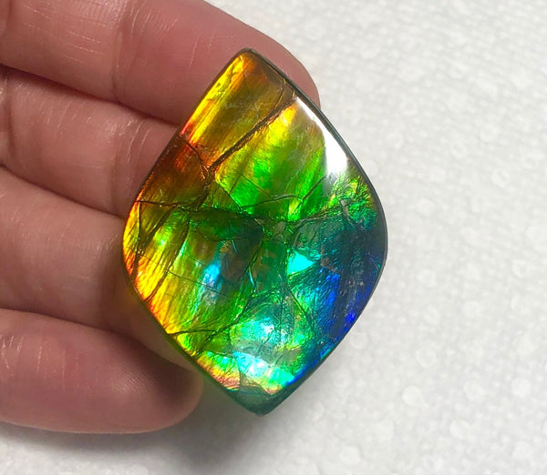 41x 29 mm Rainbow gorgeous colors! Natural  Free Form . FFNT 129  ナチュラル　ルース　アンモライト フリーフォーム