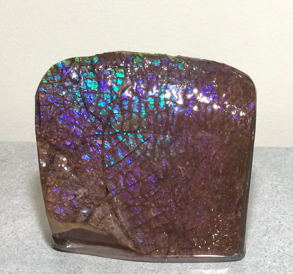 Purple Blue Dragon Skin Collector Stone Double Sided Specimen - CS-207***FREE SHIPPING****アンモライト　コレクターストーン