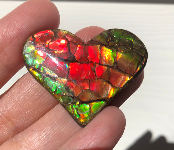 Heart shaped, Natural hand polished, Free Form . FFNT160 Ammolite