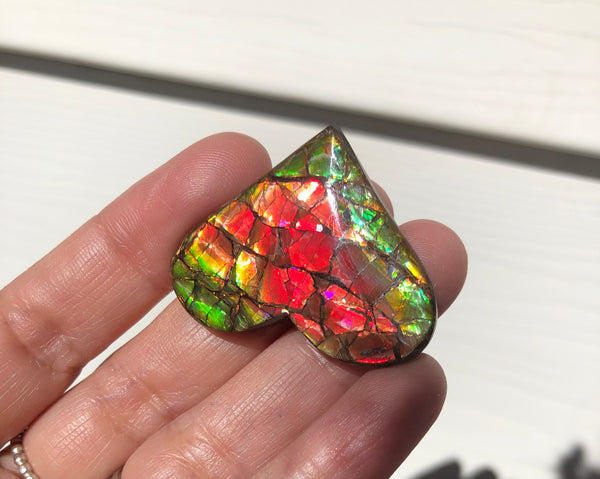 Heart shaped, Natural hand polished, Free Form . FFNT160 Ammolite