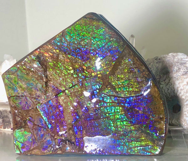 Ammolite Display Stone Hand Specimen Huge Section Piece 150mm 5.9" Collector Stone Home Décor  - CS-208***アンモライト　コレクターストーン