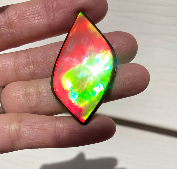 Natural hand polished, Free Form . FFNT161 Ammolite High Grade.