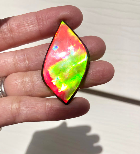 Natural hand polished, Free Form . FFNT161 Ammolite High Grade.