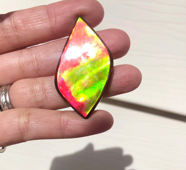 Natural hand polished, Free Form . FFNT161 Ammolite High Grade.