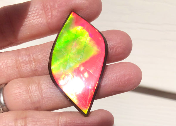 Natural hand polished, Free Form . FFNT161 Ammolite High Grade.