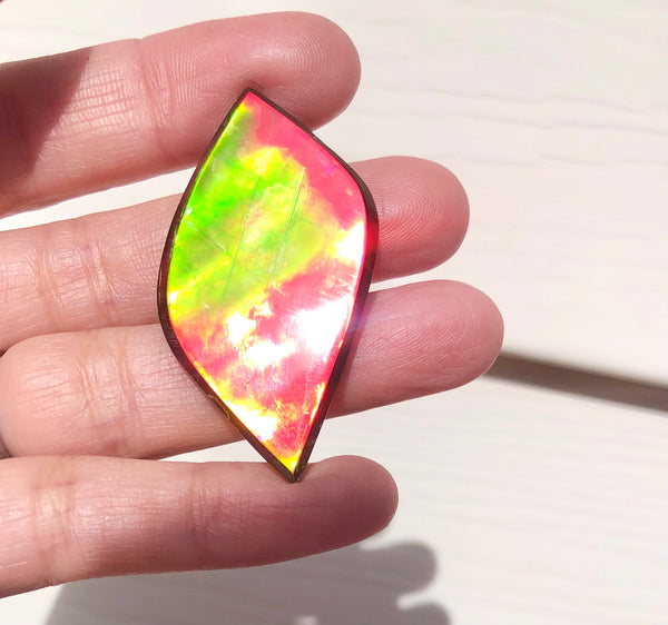 Natural hand polished, Free Form . FFNT161 Ammolite High Grade.