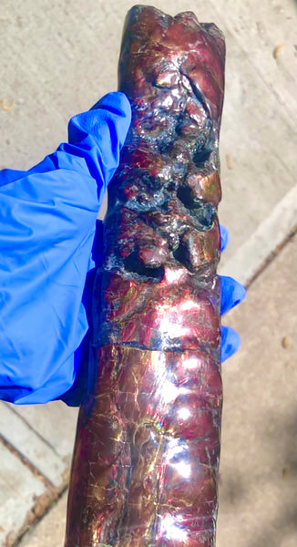 AF-70 Canadian Ammolite Bacculite Hand Polished Fossil LONG  10.78" Piece Baculites　バキュライト　アンモライト Baculite Free Shipping!!