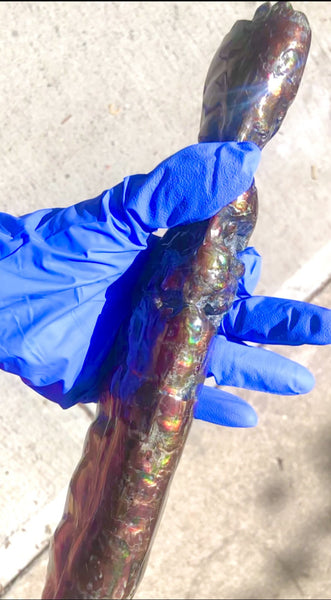 AF-70 Canadian Ammolite Bacculite Hand Polished Fossil LONG  10.78" Piece Baculites　バキュライト　アンモライト Baculite Free Shipping!!