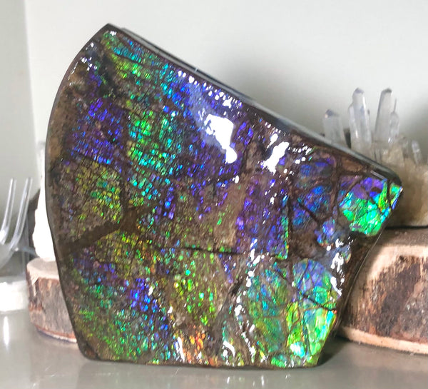 Ammolite Display Stone Hand Specimen Huge Section Piece 150mm 5.9" Collector Stone Home Décor  - CS-208***アンモライト　コレクターストーン