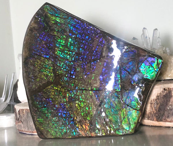 Ammolite Display Stone Hand Specimen Huge Section Piece 150mm 5.9" Collector Stone Home Décor  - CS-208***アンモライト　コレクターストーン