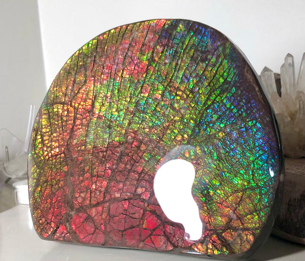 Ammolite Huge Display Stone Hand Specimen 152x135x22mm Rainbow Colors Dragon Skin Pattern Home Decor  Collector Gemstone Feng Shui CS-205  ***FREE SHIPPING****アンモライト　コレクターストーン
