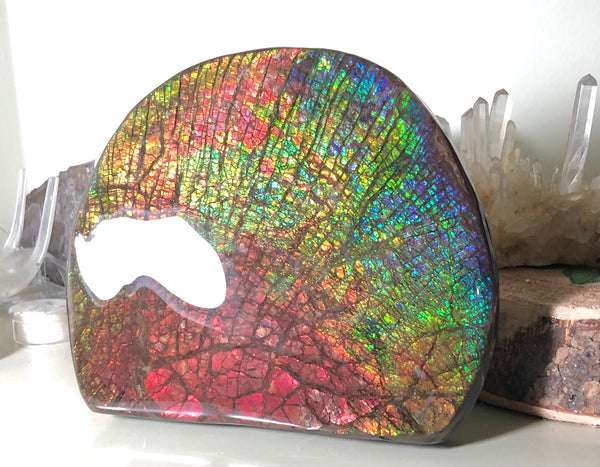 Ammolite Huge Display Stone Hand Specimen 152x135x22mm Rainbow Colors Dragon Skin Pattern Home Decor  Collector Gemstone Feng Shui CS-205  ***FREE SHIPPING****アンモライト　コレクターストーン