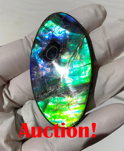 Auction CLOSED! Free shipping  🌈Auction!! **Please read the description**  Natural hand polished, Free Form . FFNT167 Ammolite High Grade.