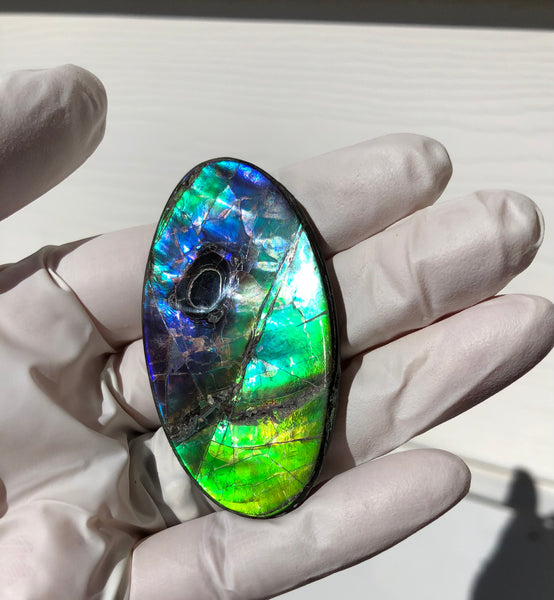 Auction CLOSED! Free shipping  🌈Auction!! **Please read the description**  Natural hand polished, Free Form . FFNT167 Ammolite High Grade.