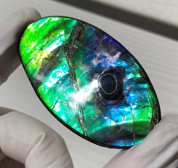 Auction CLOSED! Free shipping  🌈Auction!! **Please read the description**  Natural hand polished, Free Form . FFNT167 Ammolite High Grade.