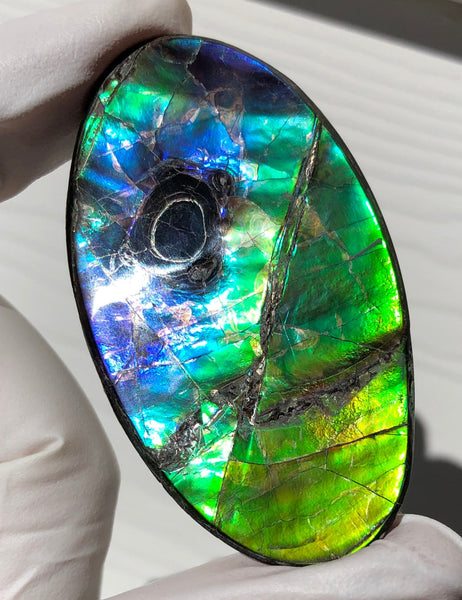 Auction CLOSED! Free shipping  🌈Auction!! **Please read the description**  Natural hand polished, Free Form . FFNT167 Ammolite High Grade.