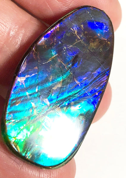 33x18mm    Natural  Free Form . FFN357  Ammolite  ナチュラル　ルース　アンモライト フリーフォーム