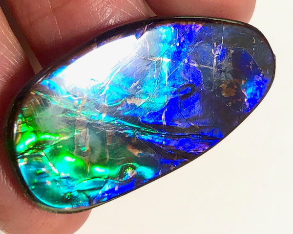 33x18mm    Natural  Free Form . FFN357  Ammolite  ナチュラル　ルース　アンモライト フリーフォーム