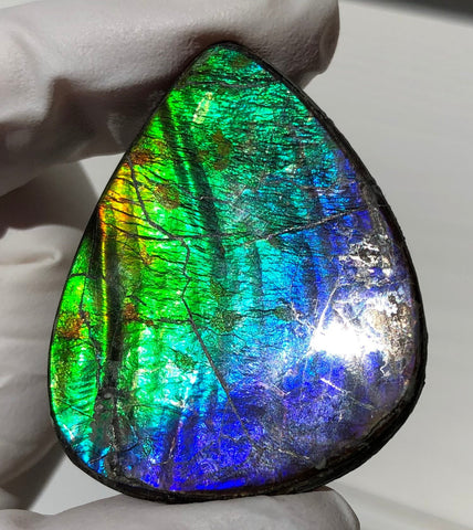 Natural hand polished, Free Form . FFNT169 Ammolite High Grade.