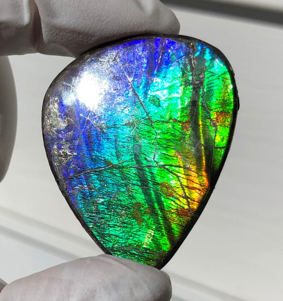Natural hand polished, Free Form . FFNT169 Ammolite High Grade.
