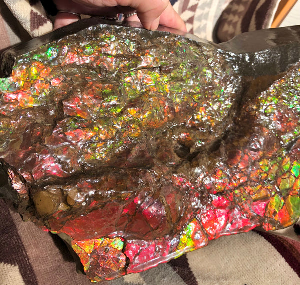 A Huge Ammolite Display Stone  Fossil Section Piece 340mm 13.38" Collector Stone Home Décor  - CS-220***アンモライト 超大型両面　コレクターストーン