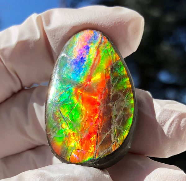 Auction CLOSED!Free shiping🌈Auction!! **Please read the description** Natural hand polished, Free Form . FFNT168 Ammolite High Grade.