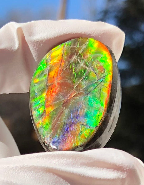 Auction CLOSED!Free shiping🌈Auction!! **Please read the description** Natural hand polished, Free Form . FFNT168 Ammolite High Grade.