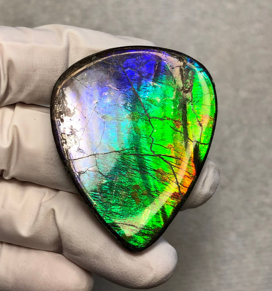 Natural hand polished, Free Form . FFNT169 Ammolite High Grade.