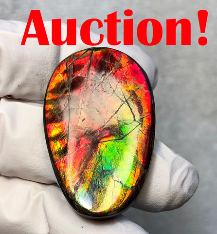 Auction CLOSED!Free shiping🌈Auction!! **Please read the description** Natural hand polished, Free Form . FFNT168 Ammolite High Grade.
