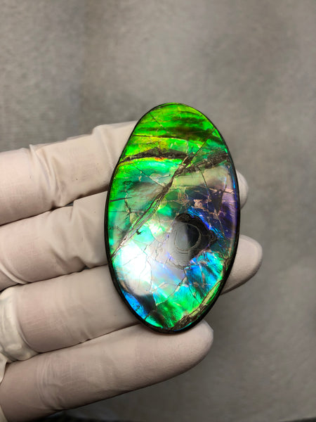 Auction CLOSED! Free shipping  🌈Auction!! **Please read the description**  Natural hand polished, Free Form . FFNT167 Ammolite High Grade.