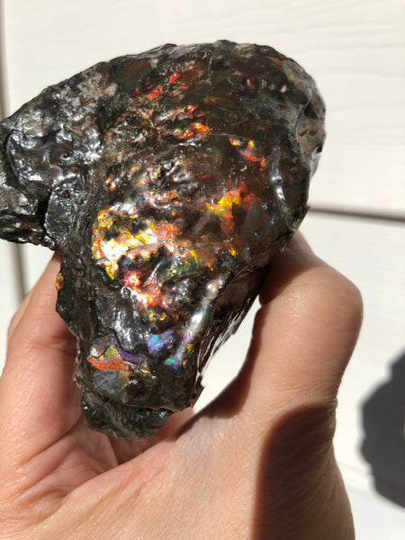 3.55"  Ammolite Rough Display Double-Sided  90mm - RS-21 Rough Stone Collection Ammolite