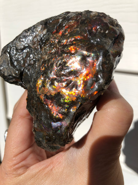 3.55"  Ammolite Rough Display Double-Sided  90mm - RS-21 Rough Stone Collection Ammolite