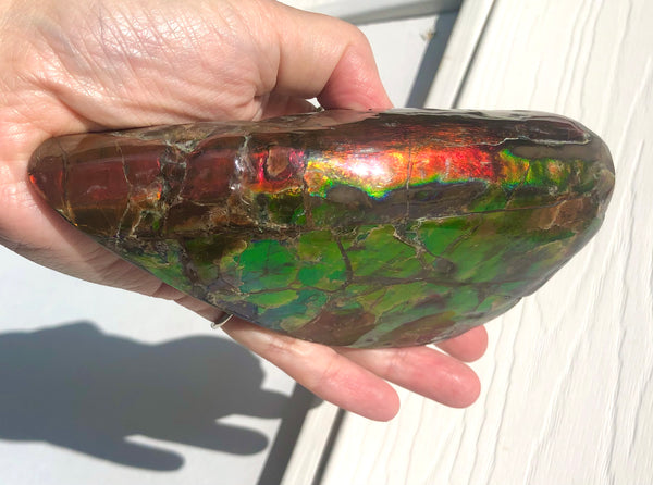 CS-215 Collector Display Ammolite Natural POLISHED Three Sided Specimen Gemstone Section Edge Keel Piece, Feng Shui, Ammonite, Fossil, Home Décor,FREE SHIPPING