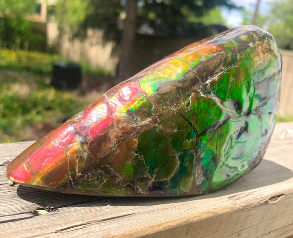 CS-215 Collector Display Ammolite Natural POLISHED Three Sided Specimen Gemstone Section Edge Keel Piece, Feng Shui, Ammonite, Fossil, Home Décor,FREE SHIPPING