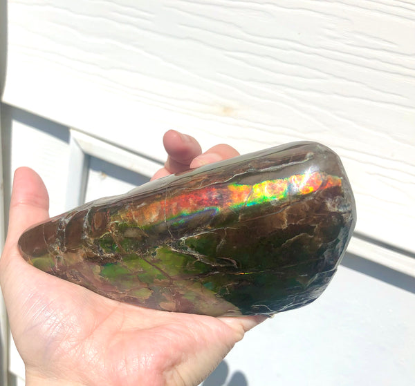 CS-215 Collector Display Ammolite Natural POLISHED Three Sided Specimen Gemstone Section Edge Keel Piece, Feng Shui, Ammonite, Fossil, Home Décor,FREE SHIPPING