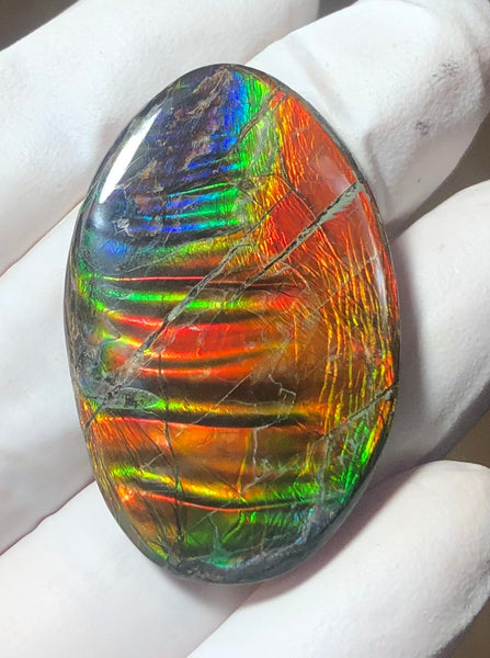 Auction Closed! Free shiping🌈🌈Auction!! **Please read the description** Rainbow Striatons! Natural hand polished, Free Form . FFNT166 Ammolite High Grade.
