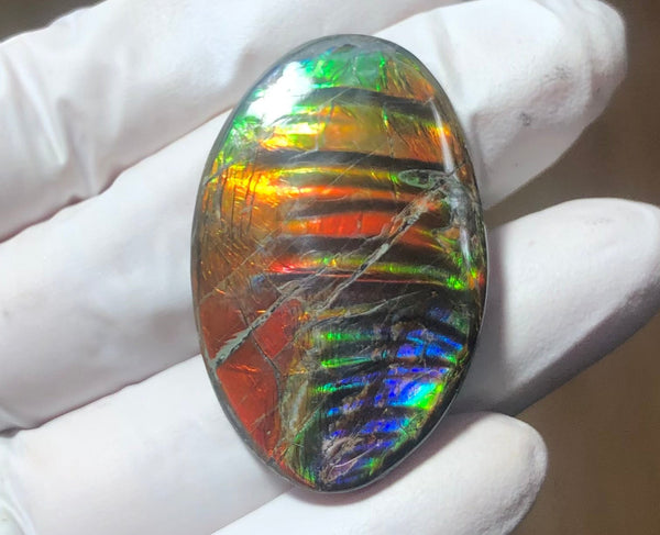Auction Closed! Free shiping🌈🌈Auction!! **Please read the description** Rainbow Striatons! Natural hand polished, Free Form . FFNT166 Ammolite High Grade.