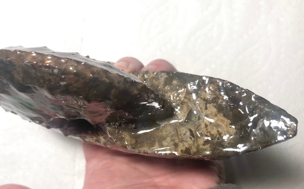 Ammolite Placenticeras Intercalare  153x122mm ***Free Shipping***  AF-59  Ammolite  Ammonite Fossil